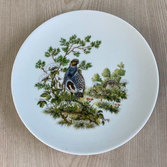 VTG Schumann Arzberg Bavaria Bird Plates Set of 2 E&R Golden Crown 7.5" Germany - Picture 3 of 5